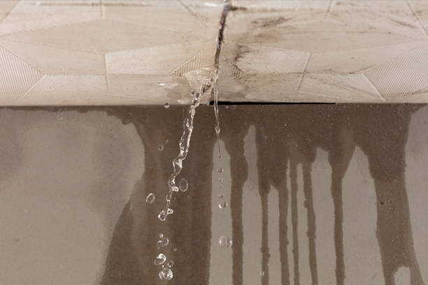 Professional Flood Damage Cleanup technician working in Elkhart, IA